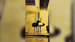 بينيكها فى الشرارع وشغال خبط ورزع فى كسها اتفرج الجيران   سكس مصري  بيصوره هوة وبينيكها