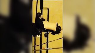 بينيكها فى الشرارع وشغال خبط ورزع فى كسها اتفرج الجيران   سكس مصري  بيصوره هوة وبينيكها