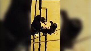 بينيكها فى الشرارع وشغال خبط ورزع فى كسها اتفرج الجيران   سكس مصري  بيصوره هوة وبينيكها