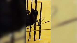 بينيكها فى الشرارع وشغال خبط ورزع فى كسها اتفرج الجيران   سكس مصري  بيصوره هوة وبينيكها