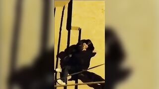 بينيكها فى الشرارع وشغال خبط ورزع فى كسها اتفرج الجيران   سكس مصري  بيصوره هوة وبينيكها