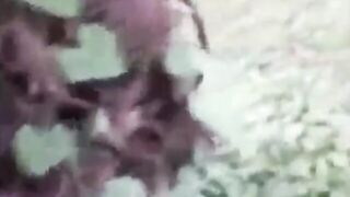 راحت الحديقه مع عاشقه زنقها و فشخ كسها و طيزها بزبر الكبير و جاب لبنها  سكس مصري علي بزازها الكبيره