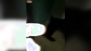 الراجل قفش مراتو وهي في البيت بتتناك من عشيقها سكس مصري  فشخهم هم الاتنين و ضرب مراتو وحكم عليها تتناك قدامو