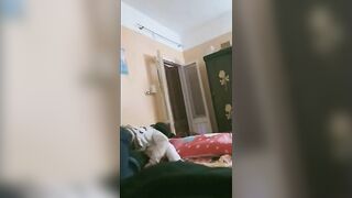 حنان فشخت كسها لصاحبها عايزه تتناك و بتقولوا افشخلي سكس مصري  كسي اوي عايزه لبنك علي طيزي و بزازي نيك مراهقه