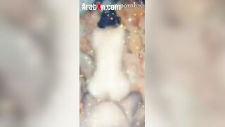 قحبه مصريه هايجه اللبوه فاتحه  سكس مصري جديد طيزها باديها عشان زبر عشيقها يدخل كله و يمتع طيزها الممحون عماله تصوت من المتعه