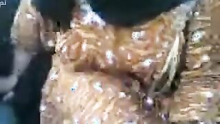شرموطه كبيره في السن شغاله منيكها في  سكس مصر عربية الشباب المموس مسكت زبر العيل الصغير نزلة مص ولحس فيه فشخت رجلها و بتقولوا ركب يا عرص