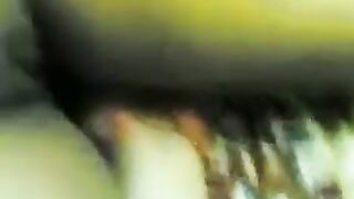 المموس بعد ماخلصت نيك فيها نايمه علي الارض xnxx xxnxx مصري  بتحكيلي ان امها القواده بتهيج عليها و بتخليها تخلع قدامها