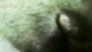 المتناكه ام ظنبور كبير نايمه علي ضهرها  سكس مصري جامد وفشخ رجلها ل حبيبها وهو عمال يشتم فيها و يقولها انت متناكه عايزه تتناكي صح