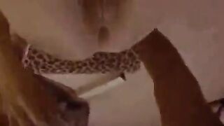 بنت المتناكه خرم طيزها وسع اوي و بقي يشفط  شرمها سكس  زبري كله جوا المموس عماله تقولي افشخني جامد عايزه اتهري نيك