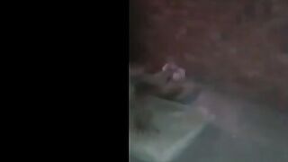 دخلت علي صاحبي لاقيتوا جايب مموس من الشارع راكب فوقيها و فاشخ كسها نيك قولتلوا يا باشا هنكها انا كمان xxnxx
