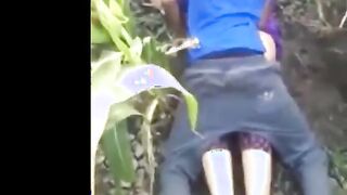 شرموطة الشرقيه معمول عليها حفلة نيك جماعي نيج عربي في الارض الزراعيه اللبوه نايمه علي ضهرها كل واحد فيهم يركب يخلص والتاني يخش