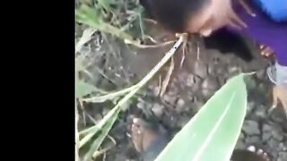 شرموطة الشرقيه معمول عليها حفلة نيك جماعي نيج عربي في الارض الزراعيه اللبوه نايمه علي ضهرها كل واحد فيهم يركب يخلص والتاني يخش