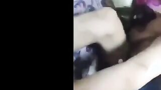 العنتيل الهايج  نيج ماسك المموس رشا الهايجه منيمها علي بطنوا و مدخل زبر كله في بوقها اللبوه كسها اتهري نيك
