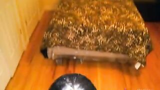الشرموطه الافريقيه المربربه ام كس سكس مصر  هايجه راحت ل صاحبها البيت تريح زبر و تمتع كسها الشرقان القحبه الممحونه طلعت استاذه في المص