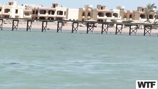الشاطئ التعري في لوس انجلوس  سكس مصر كل الشراميط عريانين ملط و بينكوا من اي شخص يعجبهم و خولات بينيكوا في بعض