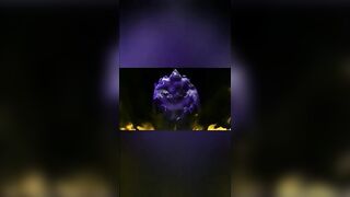 القحبه الممحونه راحت تنظف الغرفه لزبون اول ما دخلت لاقيتوا قا سكس مصري عد من غير بنطلون و زبر واقف المموس مقدرتش تمسك نفسها