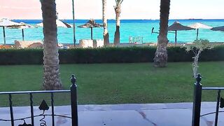 المتناكه الحيحانه بتلعب في زبر حبيبها بصوابع رجلها عايزه  سكس مصري تهيجوا عليها عشان يقوم يريح كسها الشرقان قحبه مربربه