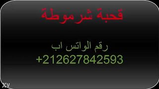 المموس الحيحانه بتطلع اوردارت بتحب الازبار الكبيره و  سكس مصري عايزه تتفشخ كل يوم رقم المموس علي الفيديو لبوة مصريه