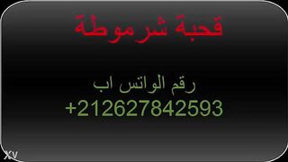 شرموطة مصريه حيحانه علي طول كسها الهايج مبلول و بتحب ال سكس مصري ازبار الكبيره و بذات الصعايده رقم المموس علي الفيديو