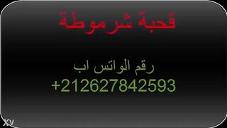 شرموطة مصريه حيحانه علي طول كسها الهايج مبلول و بتحب ال سكس مصري ازبار الكبيره و بذات الصعايده رقم المموس علي الفيديو