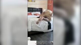 القحبه السعوديه الهايجه جابت السباك يصلح الحمام المموس  سكس مصري طلع بعبايه شفافه مفتوحه و مش لبس تحتها غير اندر فتله