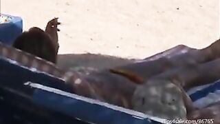 شاطئ تعاري لوس انجلوس حفلة نيك جماعي ل شراميط ممحونين اكساسهم هايجه سكس مصري  و اطيازهم شرقانه كل الشراميط عريانين ملط علي الشاطئ